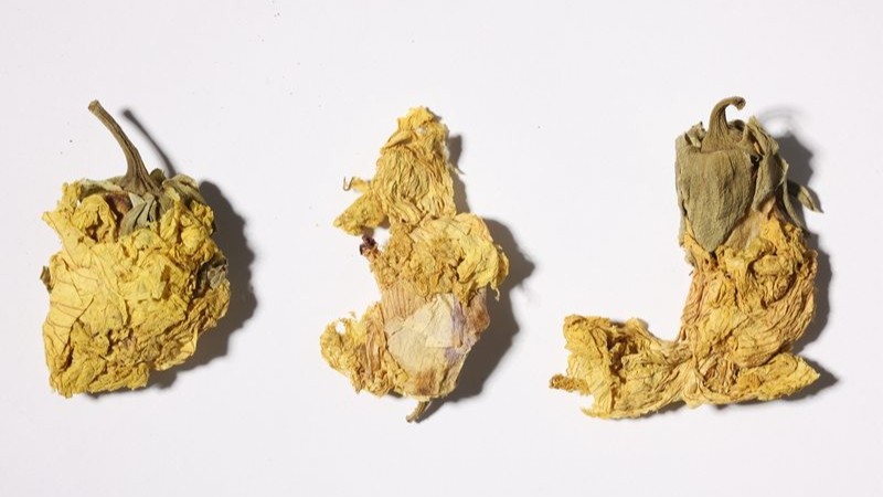 黄蜀葵花